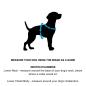 Preview: DOOG Neotech Harness Black Gr. M